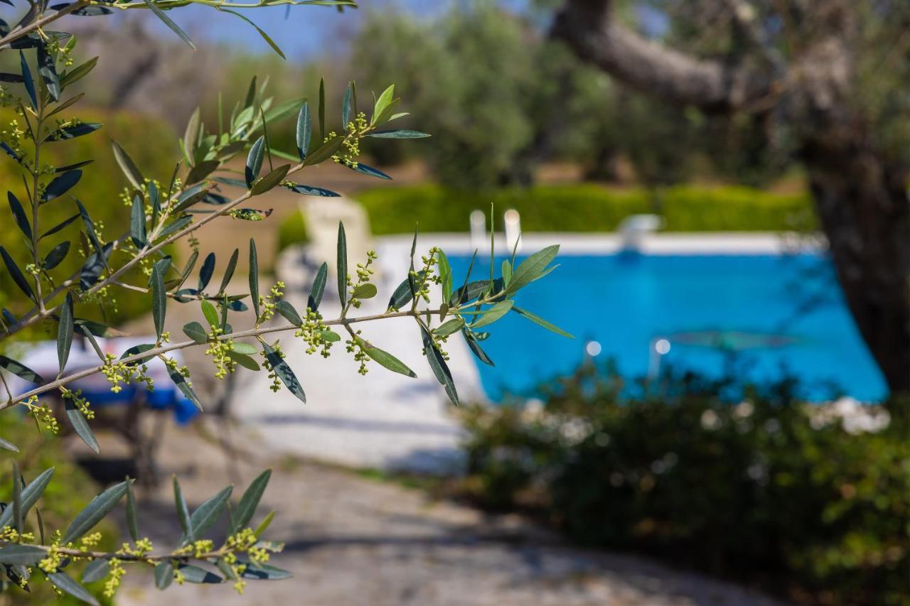 Casa Ulmi Con Piscina Bed & Breakfast Uggiano La Chiesa Eksteriør bilde